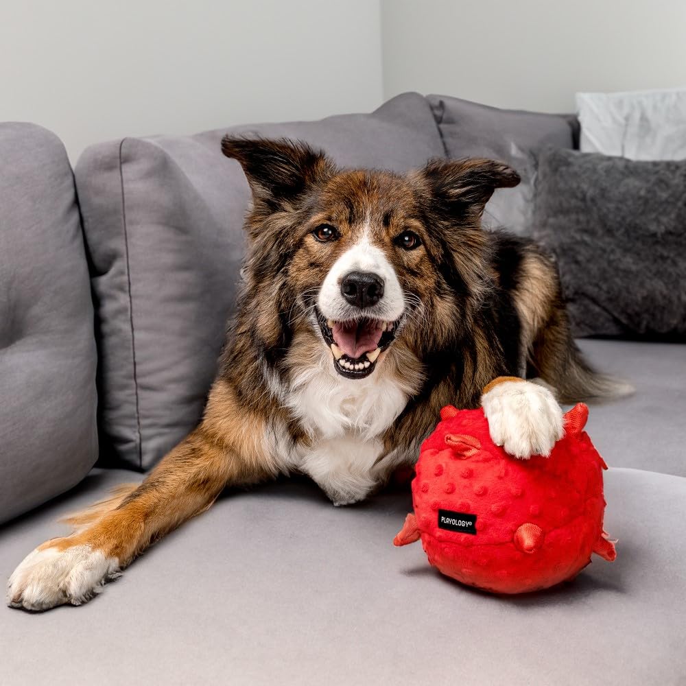 Playology Puppy Sensory Ball Toy - Large Stuffed Chew with Squeaker, All-Natural Chicken Scent for Puppies 8-16 Weeks