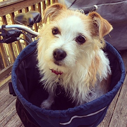 Walky Basket Pet Dog Bicycle Bike Basket & Carrier Easy Click Release Mounting- Up to 15lbs 15.5 Wide x 10 Depth