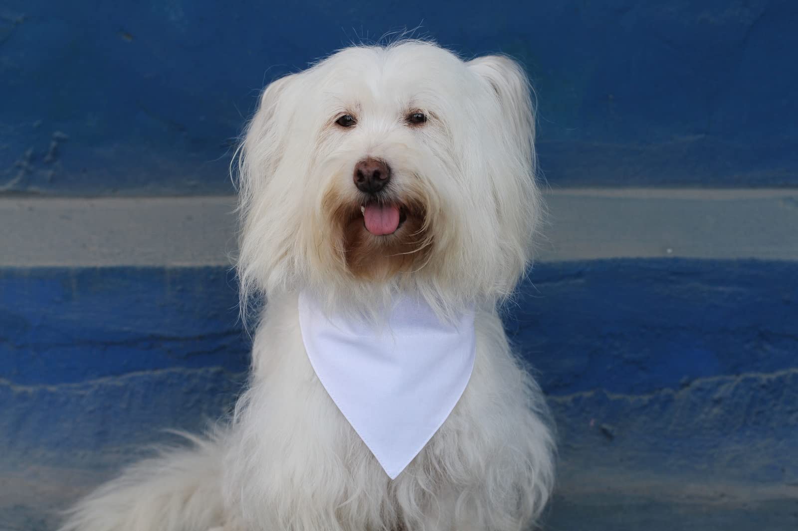 Eechicspace 2 Pack White Cotton Dog Bandana Over Collar Blank For Extra Small Pets