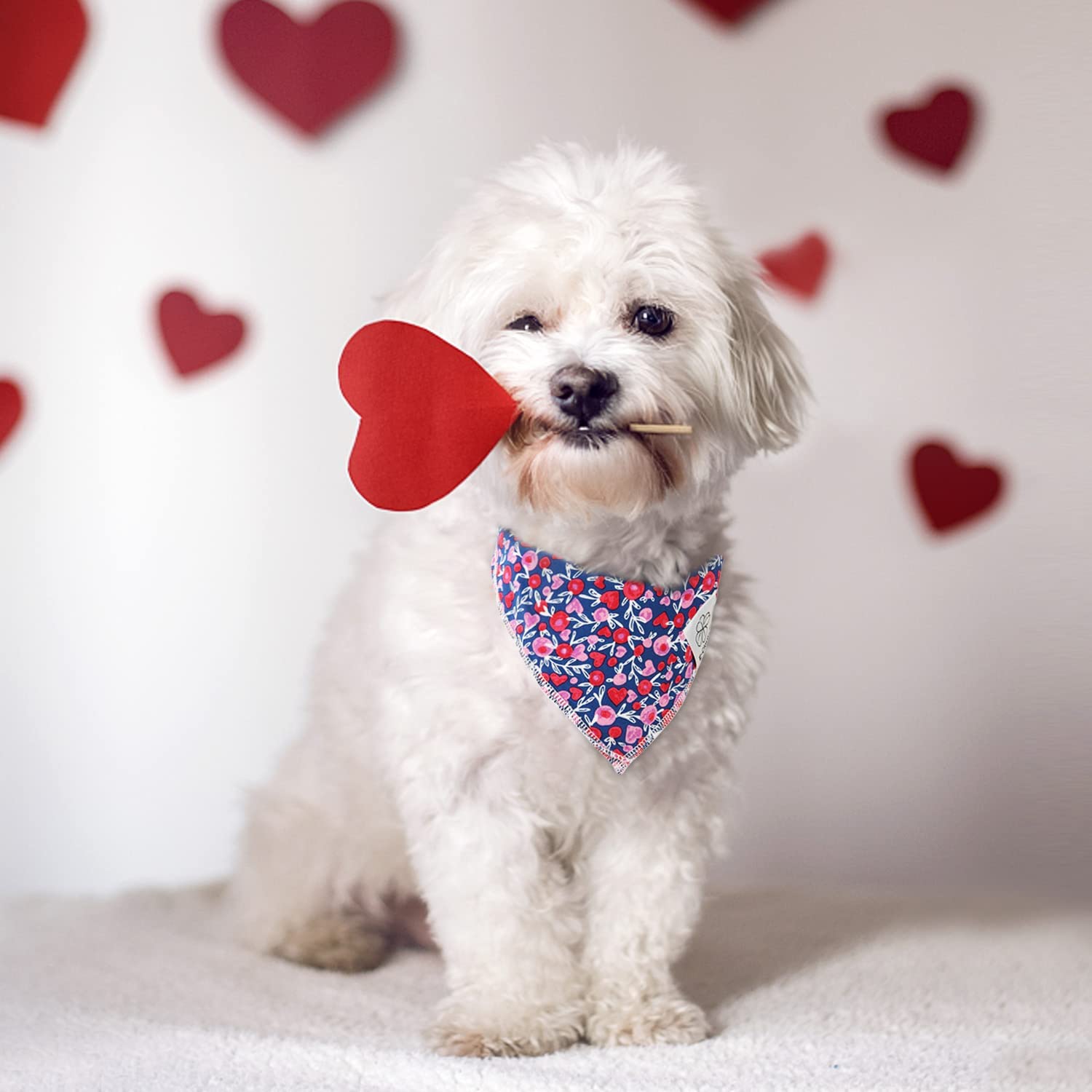 E-Clover Cute Girl Dog Bandanas & Matching Scrunchie Set Heart Dog Bandana Scarf With Bow Hair Ties For Small Puppy Dogs Pet Own