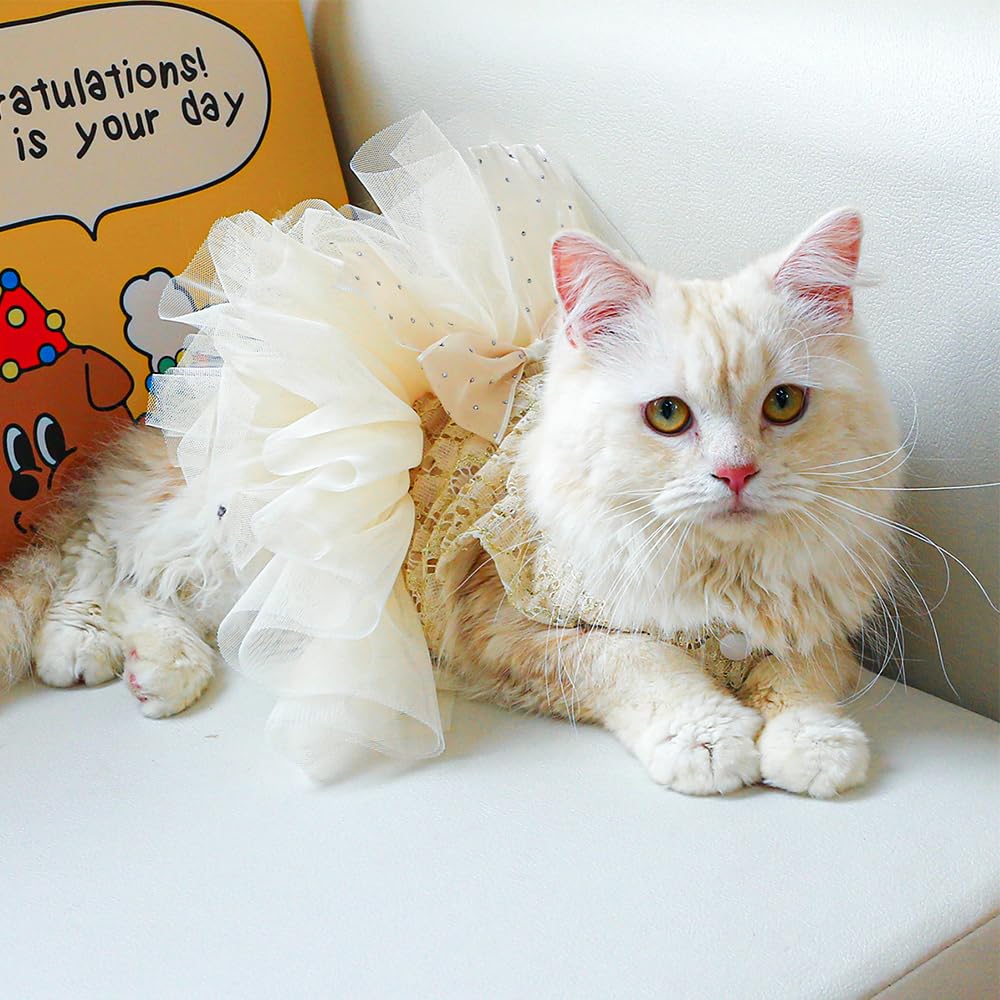 Aniac Small Dog Dresses,Girl Puppy Princess Tutu Dress With Bow Knot,Cat Outfit,Chihuahua Yorkie Clothes For Birthday Wedding (M