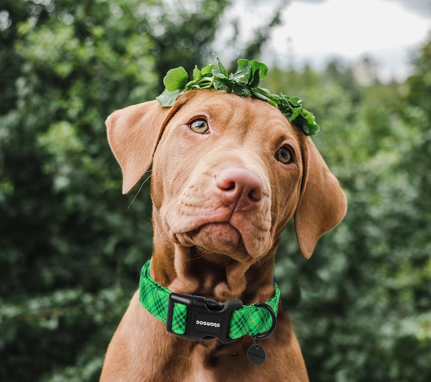 Dogwong St. Patrick'S Day Dog Collar, Green Plaid Dog Collar Soft Durable Adjustable Costume St. Patrick'S Day Green Grid Puppy