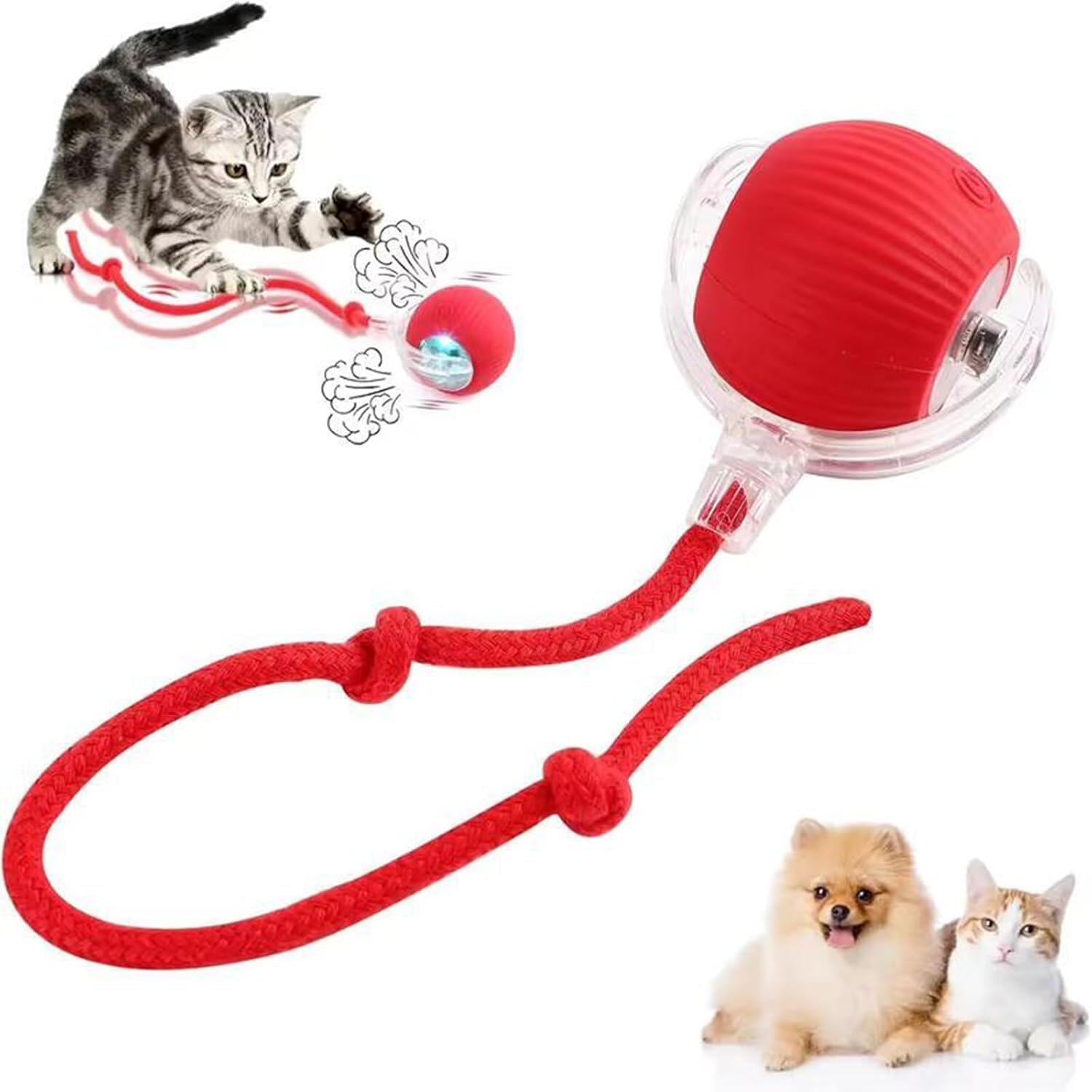 IFcart Interactive Cat Ball Toy | Rolling Play Ball for Cats & Kittens | Smart Pet Toy for Exercise, Hunting & Indoor Entertainm