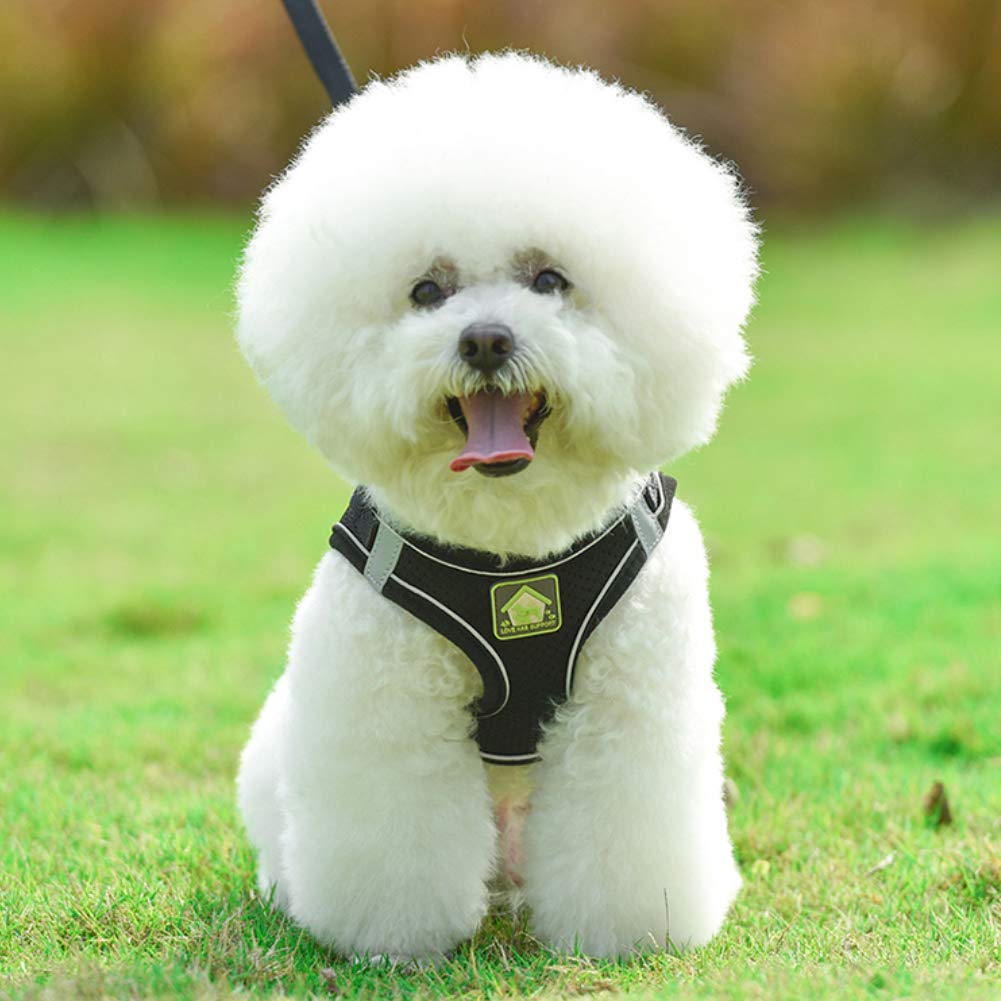 Feimax Dog Harness And Lead Set, No-Pull Breathable Soft Mesh Puppy Vest Harness Reflective Adjustable Pet Harnesses For Small Medium Dogs And Cats - Outdoor Easy Control For Walking
