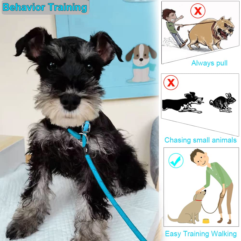 Btinesful 10Ft / 15Ft / 20Ft Anti-Choke Slip Lead Dog Leash, Reflective 1/3    Rope Leash Long Training Lead For Small Medium Do