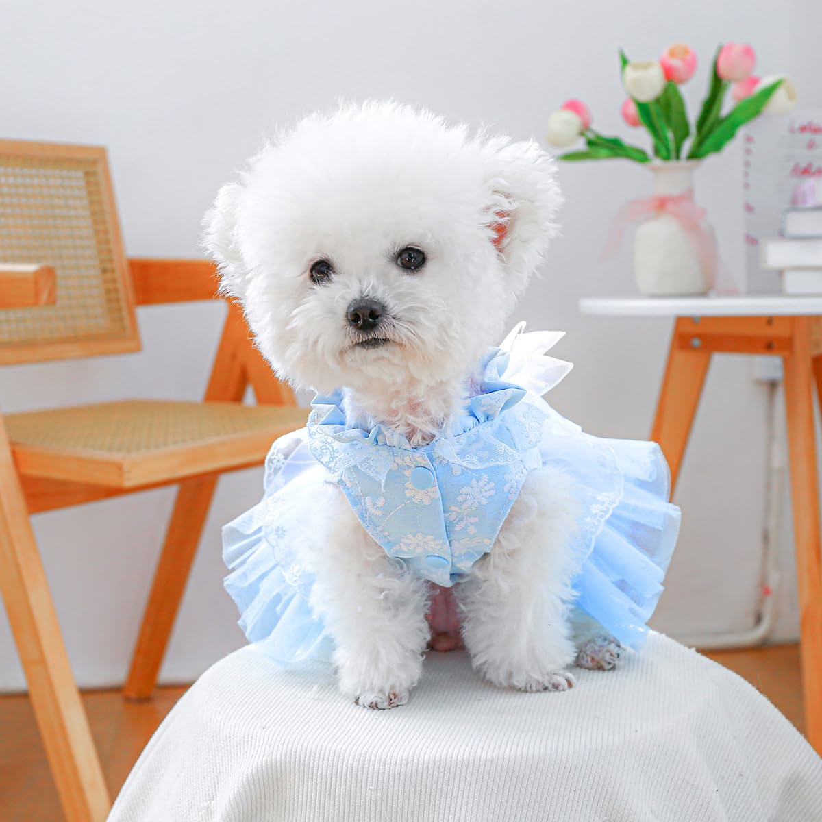 Marupet Fashion Sweet Puppy Dog Blingbling Princess Skirt Pet Dog Lace Cake Camisole Tutu Dress F-Blue M