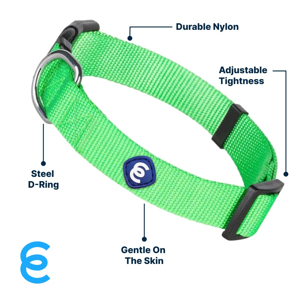 Blueberry Pet Essentials 22 Colors Classic Dog Collar, Neon Green, Small, Neck 12'-16', Nylon Collars For Dogs