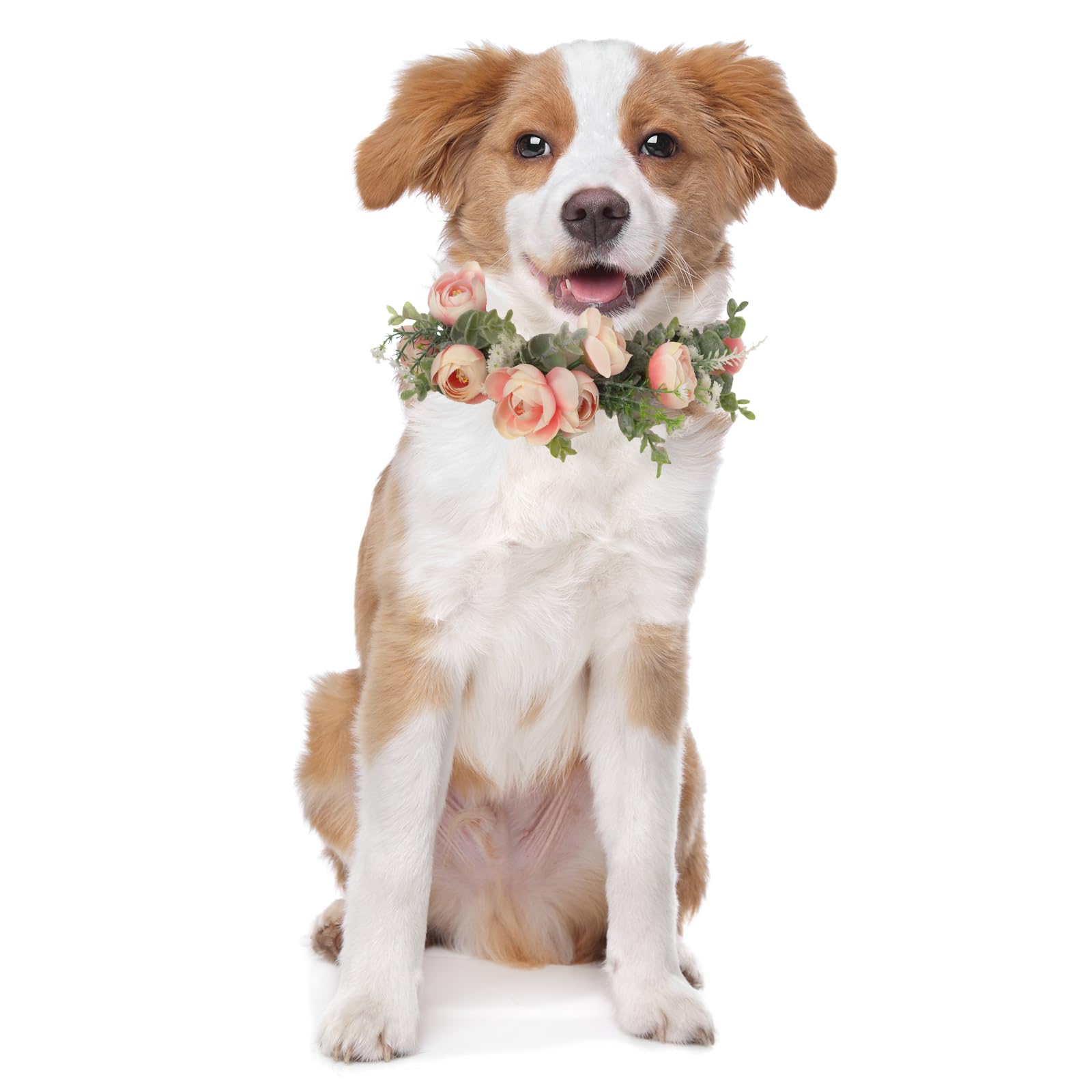 Honoson Dog Wedding Flower Collar Dog Pink Floral Attire Wreath Bow For Female Pets Cats Dog Valentine'S Day Party Photo Props(Pink, Fresh, Large)