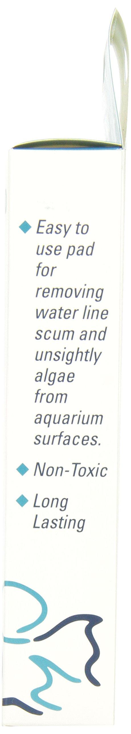 Lifegard Aquatics 4-Inch By 6-Inch White Algae Pad