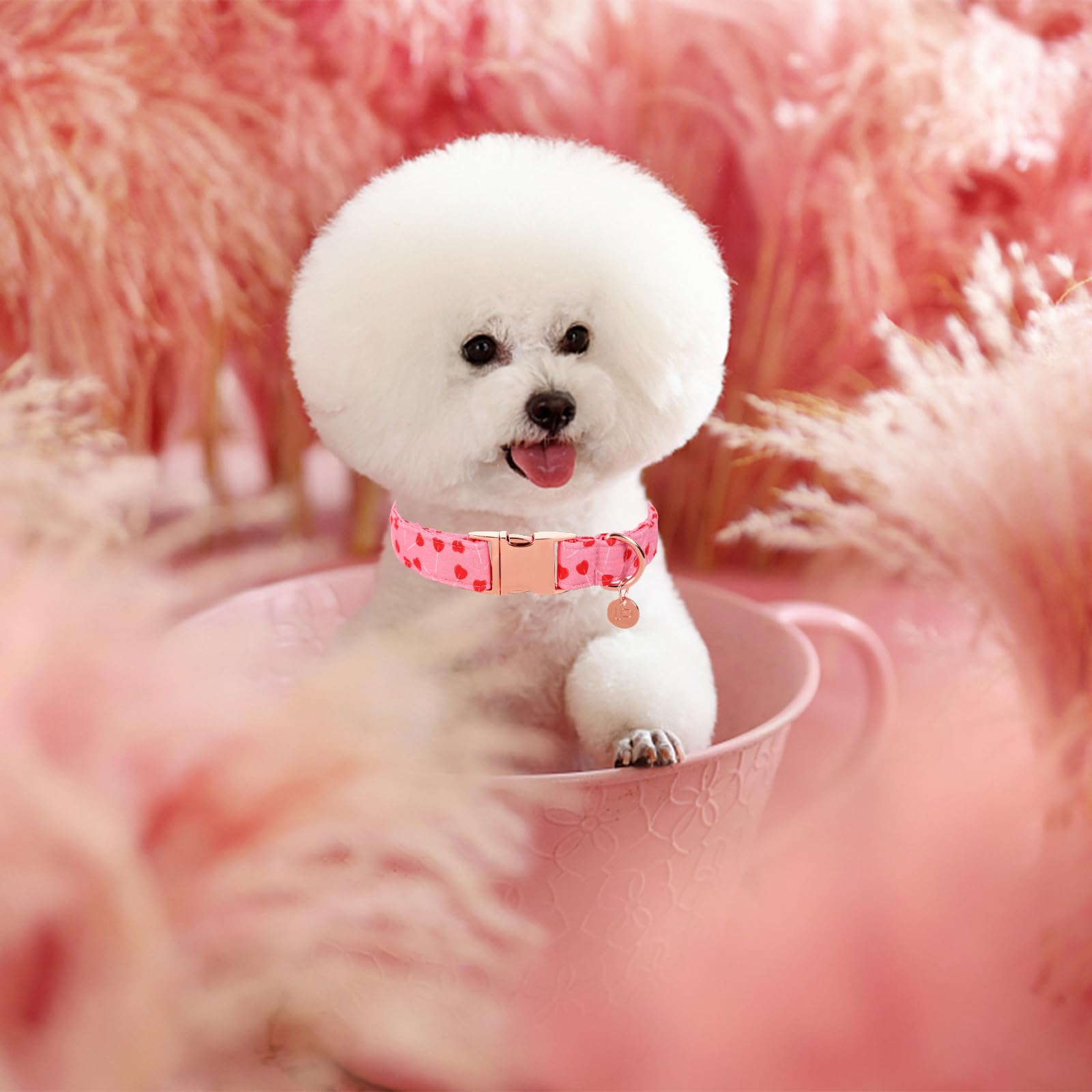 Up Urara Pup Valentine'S Dog Collar, Pink Heart Pattern, Cotton, Adjustable Size, Metal Buckle, Medium, Pink, For Small, Medium,