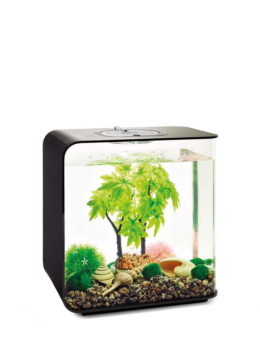Biorb Decor Set 30L Summer Medium