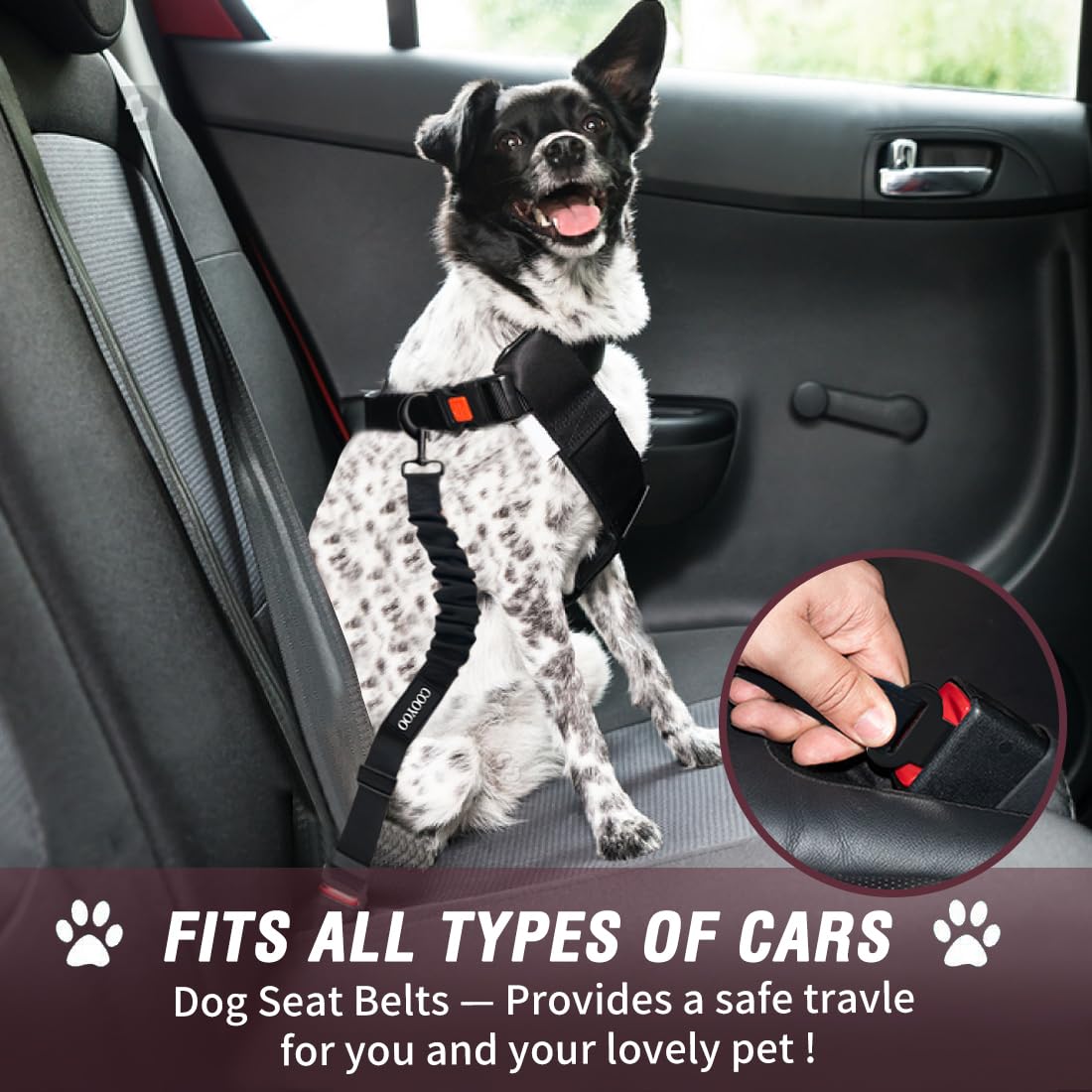 Cooyoo Dog Seat Belt,3 Piece Set Retractable Dog Car Adjustable Seatbelts For Vehicle Nylon Pet Safety Heavy Duty & Elastic & Du