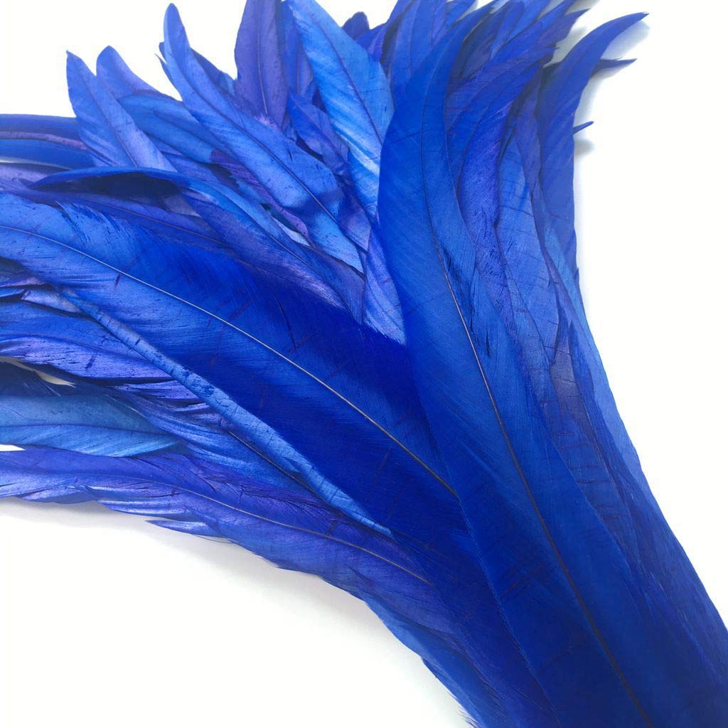 Shekyeon 12-14Inch Rooster Tail Feather Used Hats Costume Decoration Pack Of 50(Royal Blue)