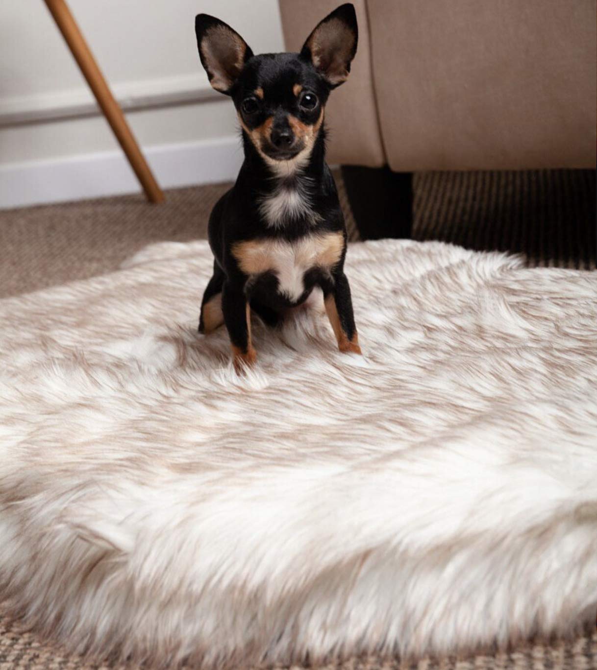 Luxury Faux Fur Orthopedic Dog Bed, Memory Foam Dog Bed For Small, Medium, Large And Xl Pets, Fluffy Pup Rug With Waterproof And Washable Soft Cover, Bone White (Medium)
