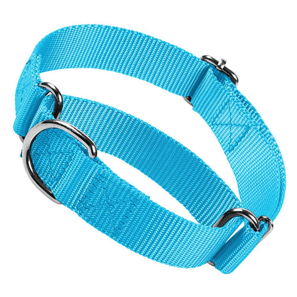 Dog Collar Martingale, No Pull Choke Dog Collar Escape Proof Cinch Dog Training Collars Adjustable For Small Medium Large Breed 
