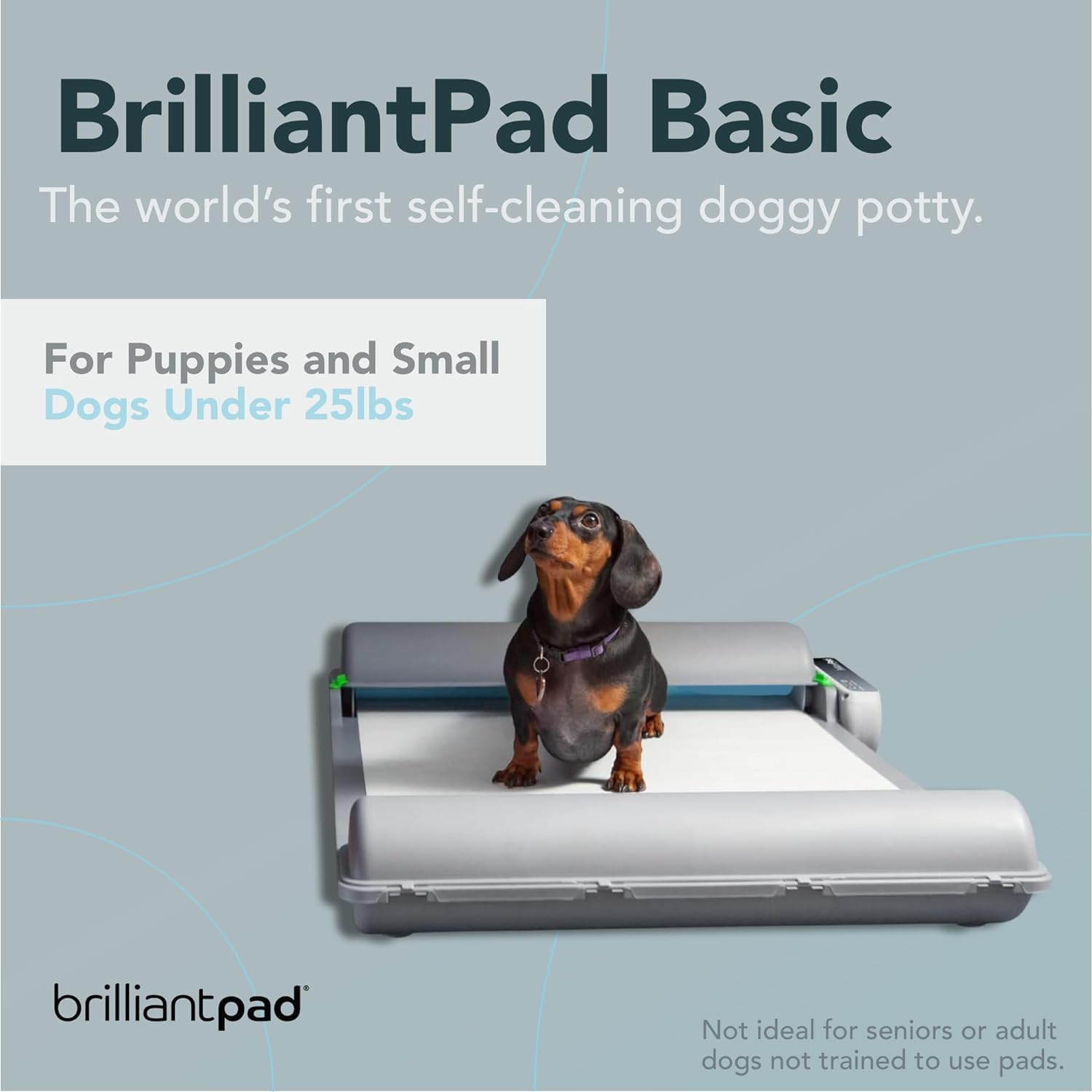 BrilliantPad Indoor Dog Potty for Small Pets, Basic | Automatic Self Cleaning with Odor Control, Puppy Training Alternative to G