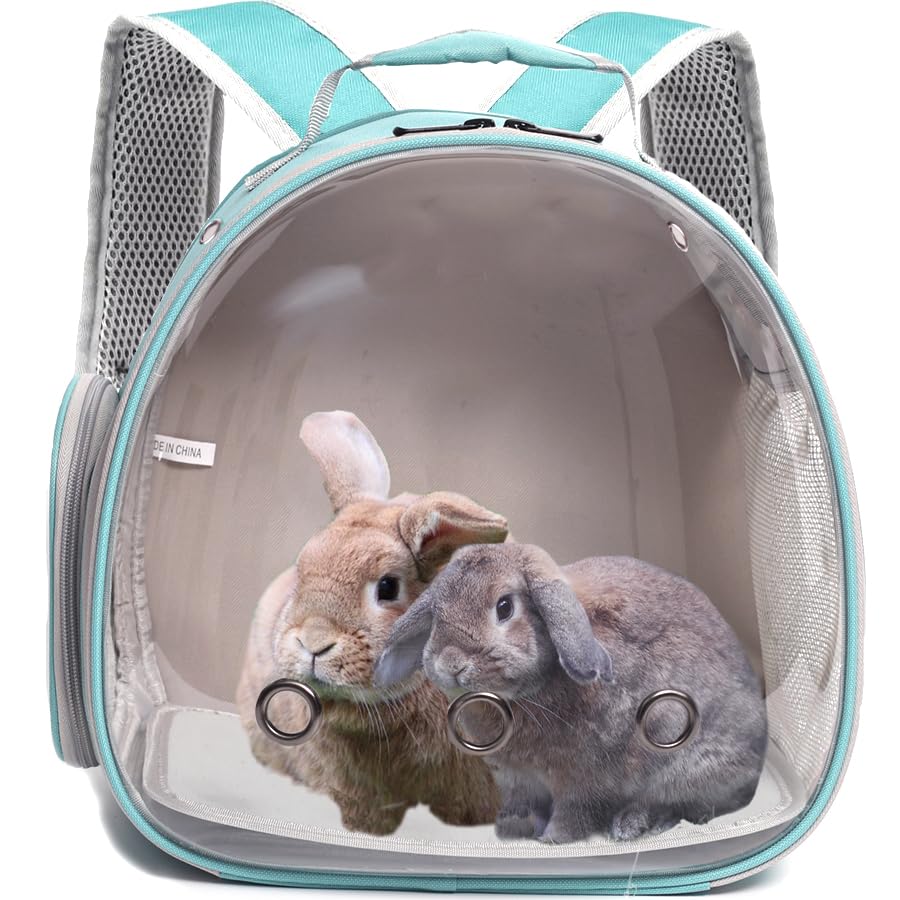 Guinea Pig Backpack Carrier, Bearded Dragon Carrier Backpack With Clear Bubble Window,Small Animal Travel Backpack For Hedgehog Rat,Chameleon,Rabbit,Sugar Glider,Airline Approved (Green, Backpack)