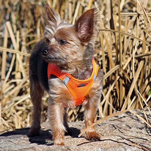 Doggie Design American River Step In Wrap Up Ultra Choke-Free Mesh Dog Harness With Safe Night Walking Reflective Strips (Soft Mesh Polyester, Machine Wash And Line Dry) (3Xl, Hunter Orange)