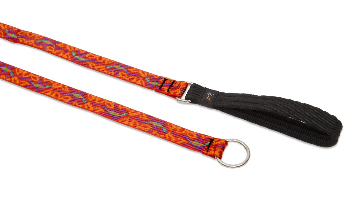 LupinePet Originals 1'' Go Go Gecko 6-foot Slip Lead/Leash for Medium and Larger Dogs