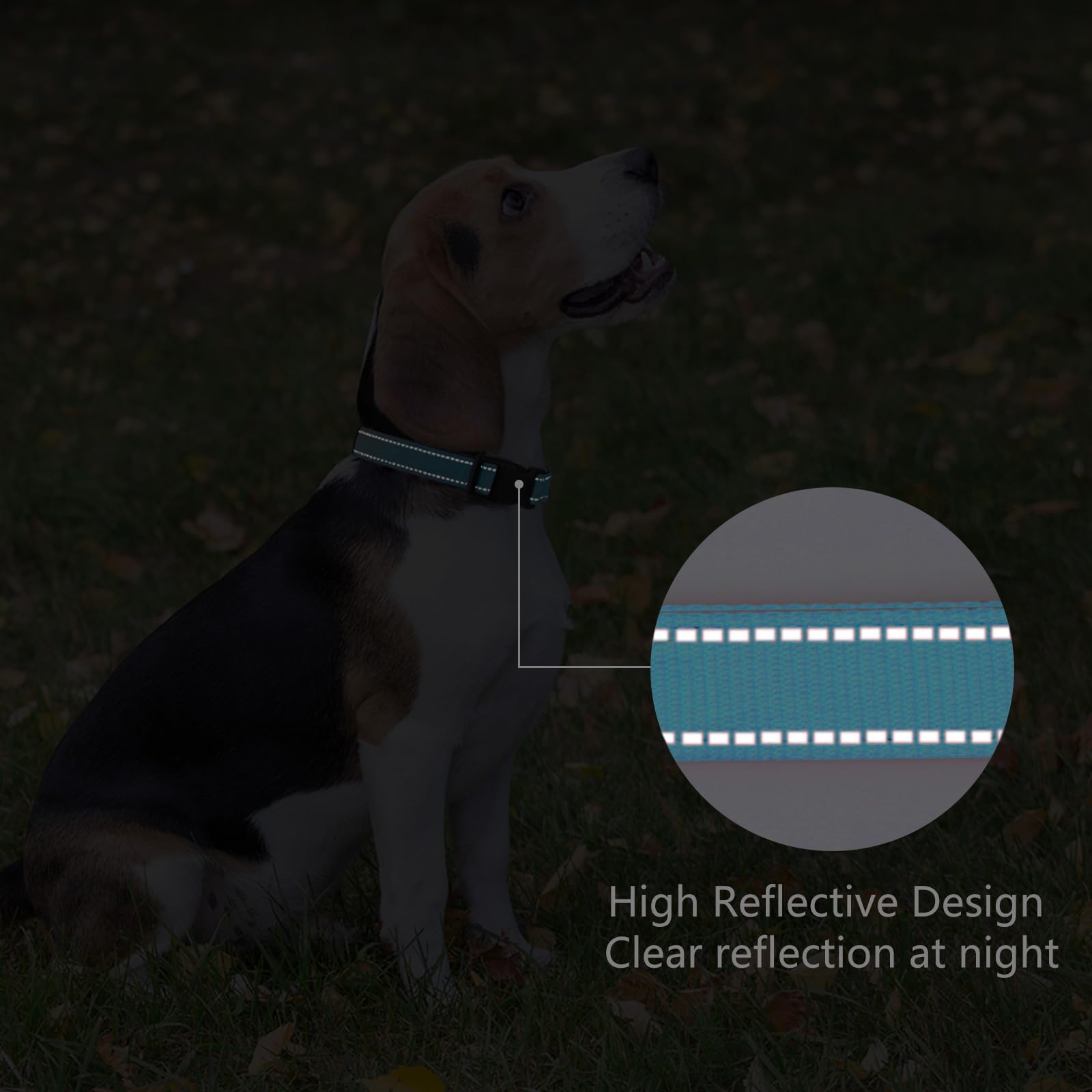 Penseepet Reflective Dog Collar Padded With Soft Neoprene Breathable Quick Release Basic Dog Collars For Medium Dogs Sky Blue Boy