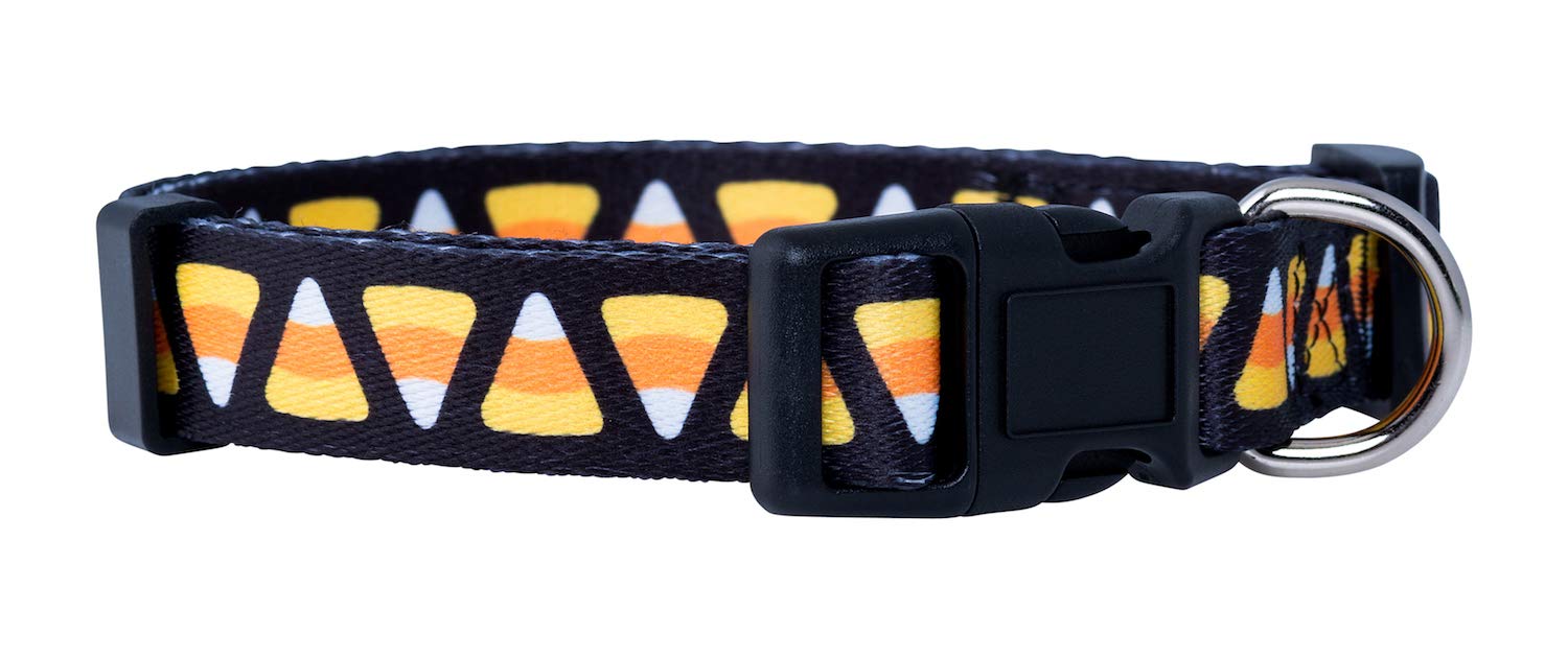 Native Pup Halloween Dog Collar (Medium, Candy Corn)