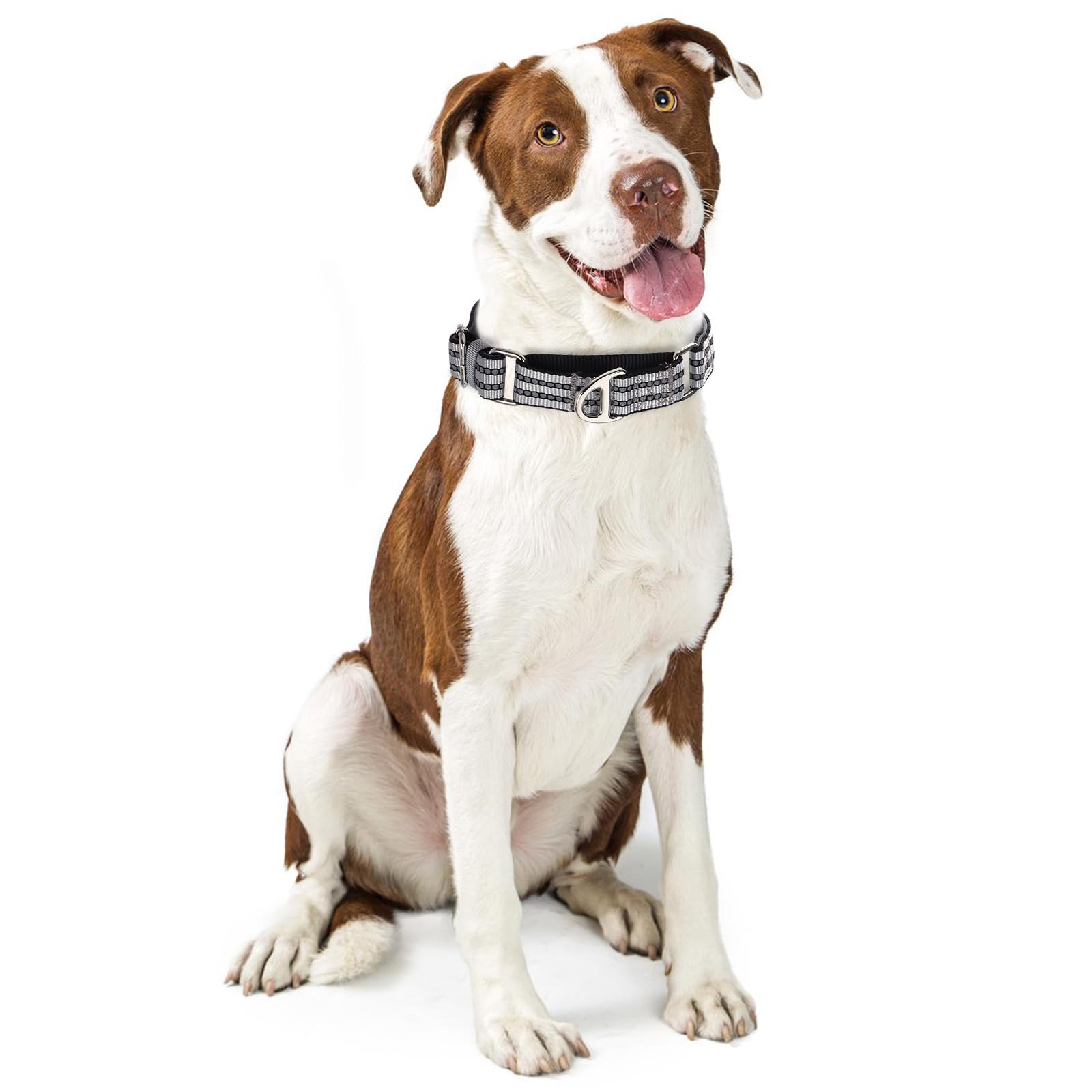Reflective Martingale Collar For Small Dogs With No Buckle Adjustable Training, Walking, Hunting No Slip Collars, (Sliver S)