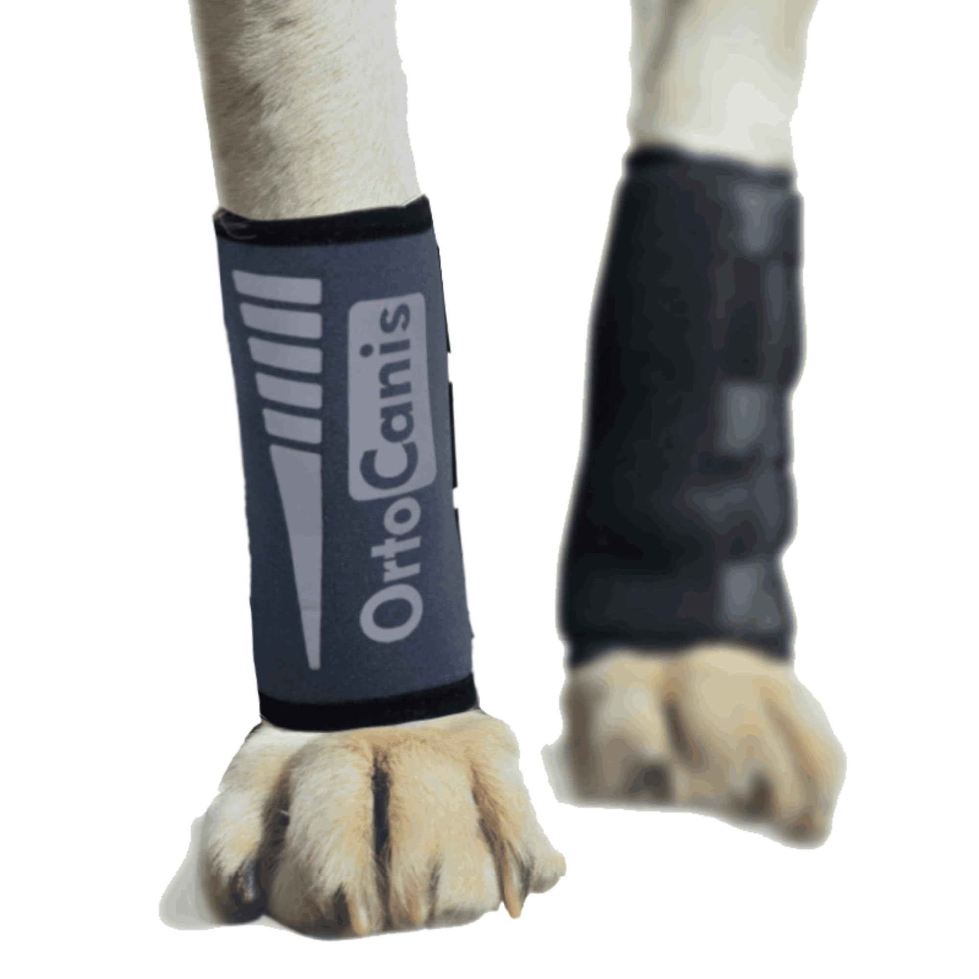 Ortocanis - Carpal Brace for Dogs with Arthrosis, Ligament or Tendon Injuries, or Agility Dogs, Size S