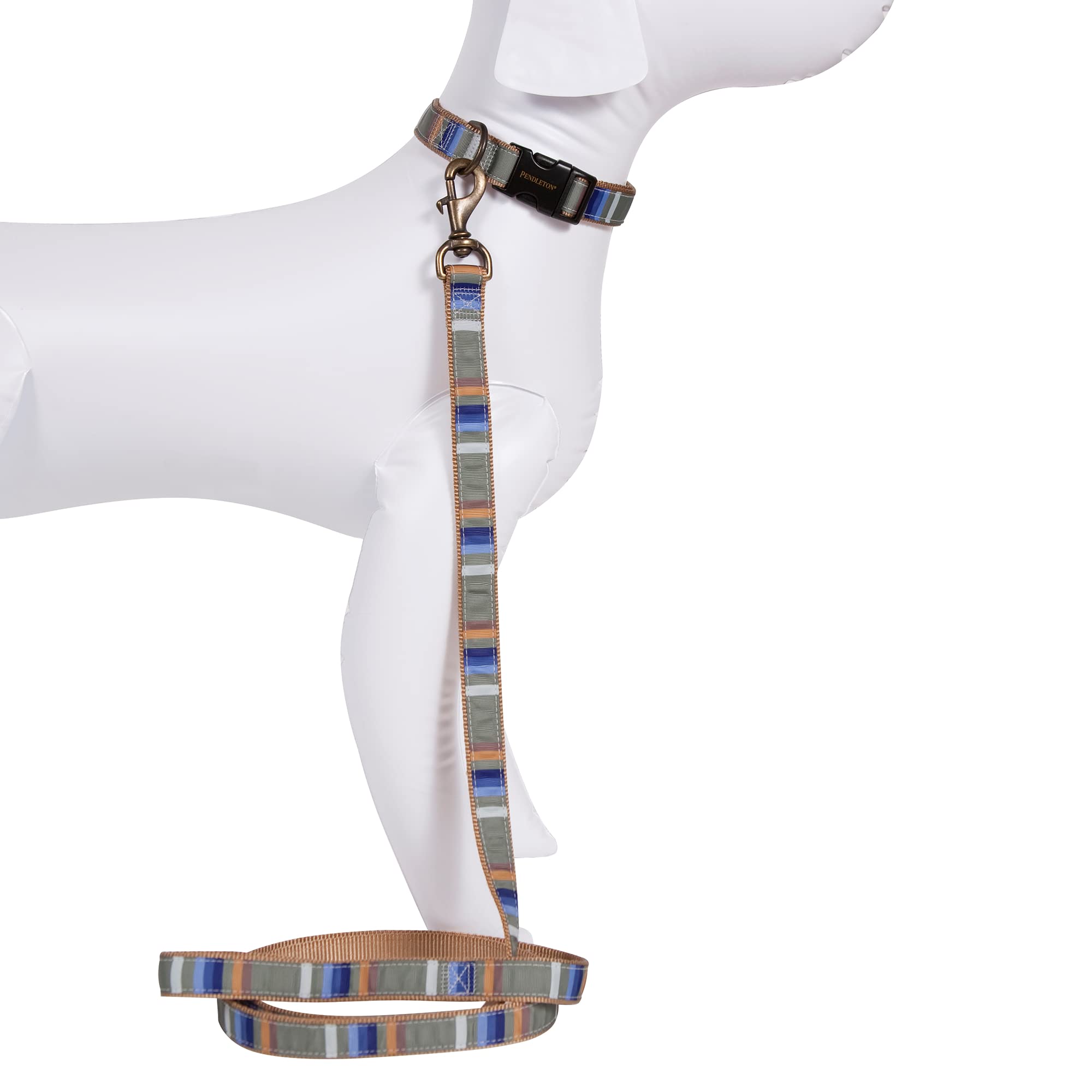 Carolina Pet Pendleton Hiker Rocky Mountain Dog Collar Large