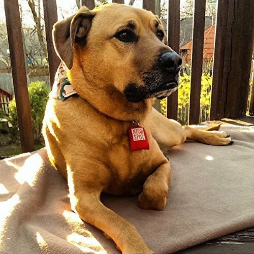Quiet Spot Pet Tag Silencer (Orange)