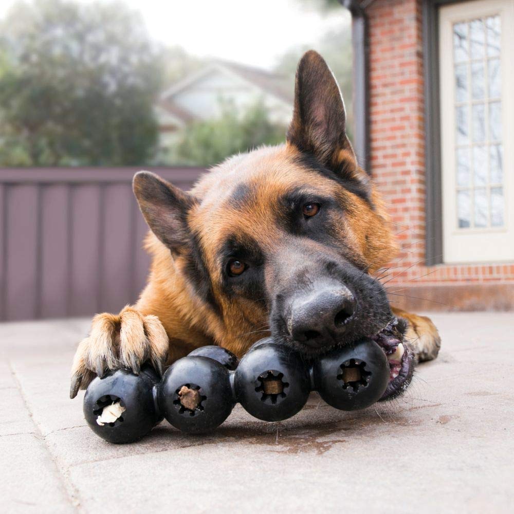 KONG Extreme Goodie Ribbon - Stuffable Dog Toy for Play - Chew Toy Satisfies Natural Chewing Instincts - For Medium Dogs