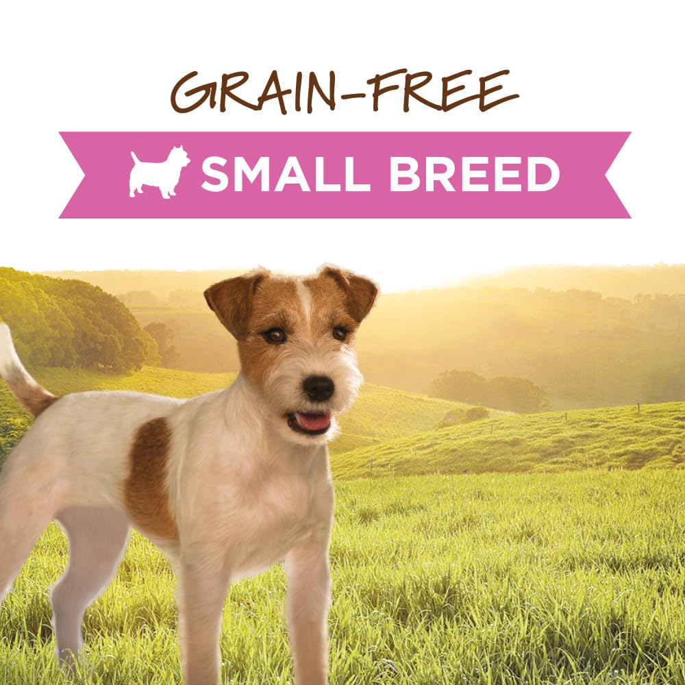 Instinct Original Small Breed, Wet Dog Food, Grain Free Recipe - Real Chicken, 5.5 oz. Cans (Pack of 12)