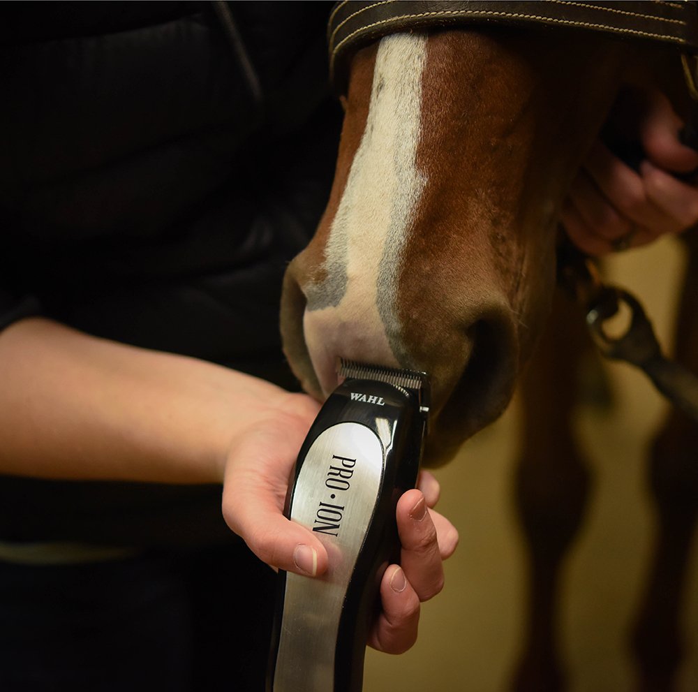 Wahl Professional Animal Pro Ion Equine Cordless Horse Clipper And Grooming Kit