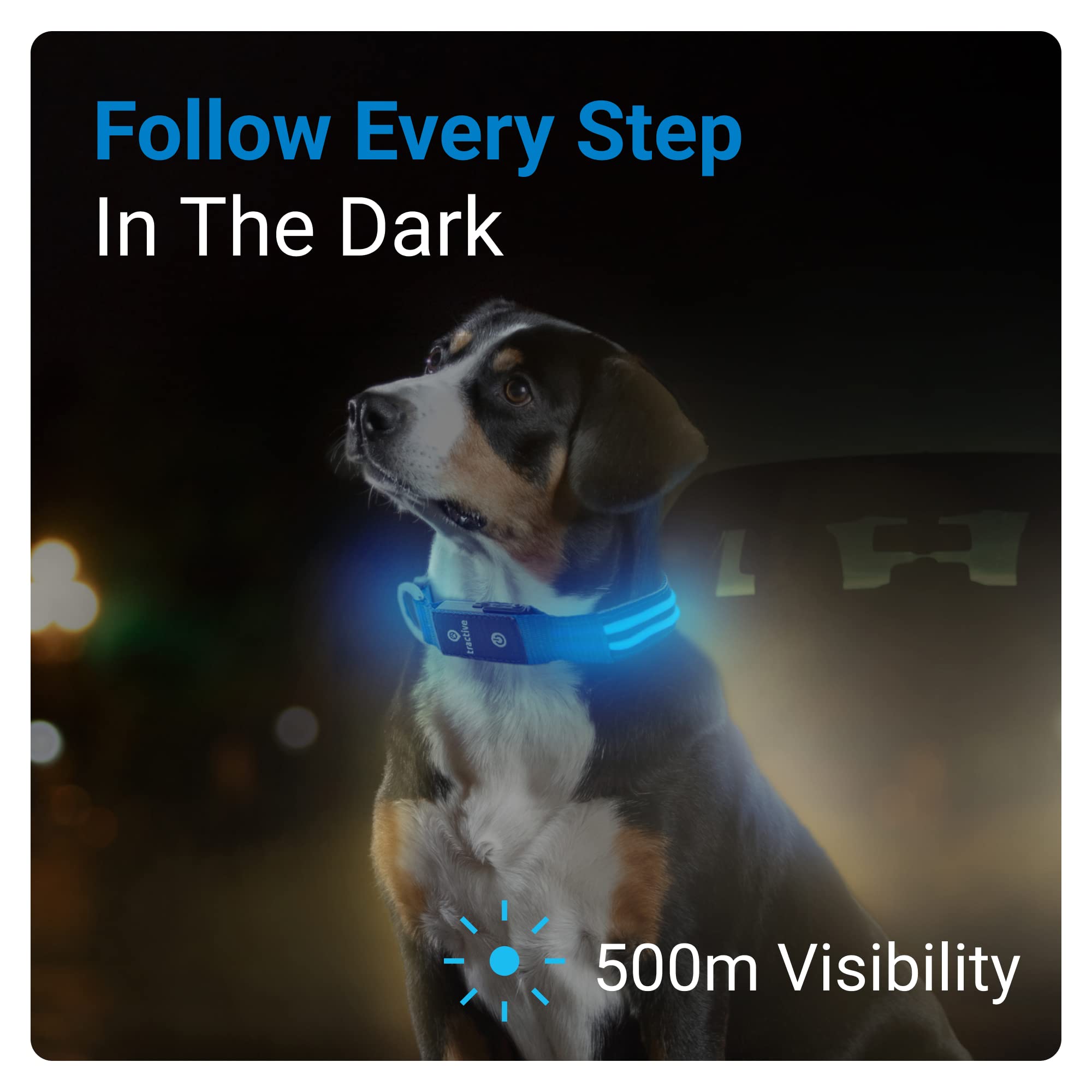 Tractive Led Light Up Dog Collar Usb Rechargeable Waterproof (Blue), Medium