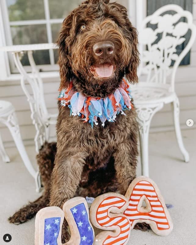 Midlee 4Th Of July Decorative Bell Collar (Medium)