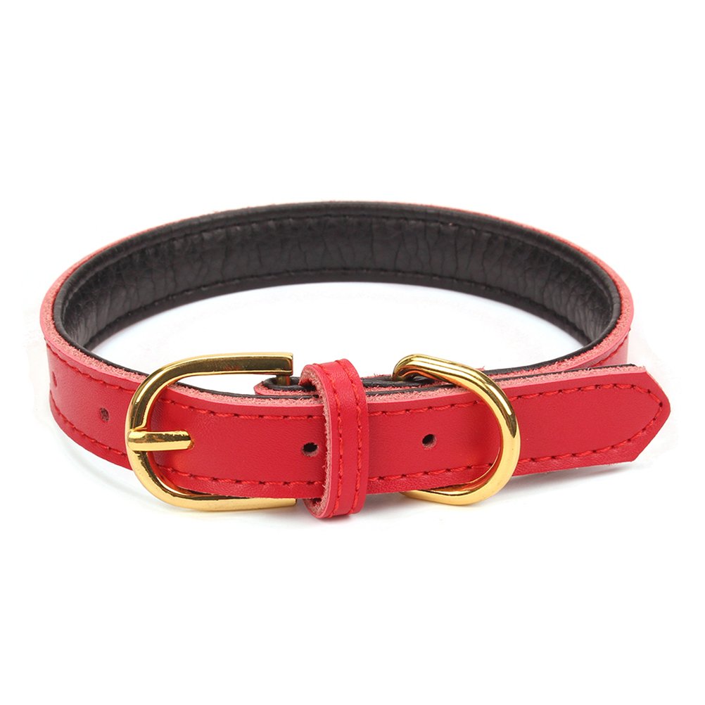 Aolove Basic Classic Padded Leather Pet Collars For Cats Puppy Small Medium Dogs (Large, Red)