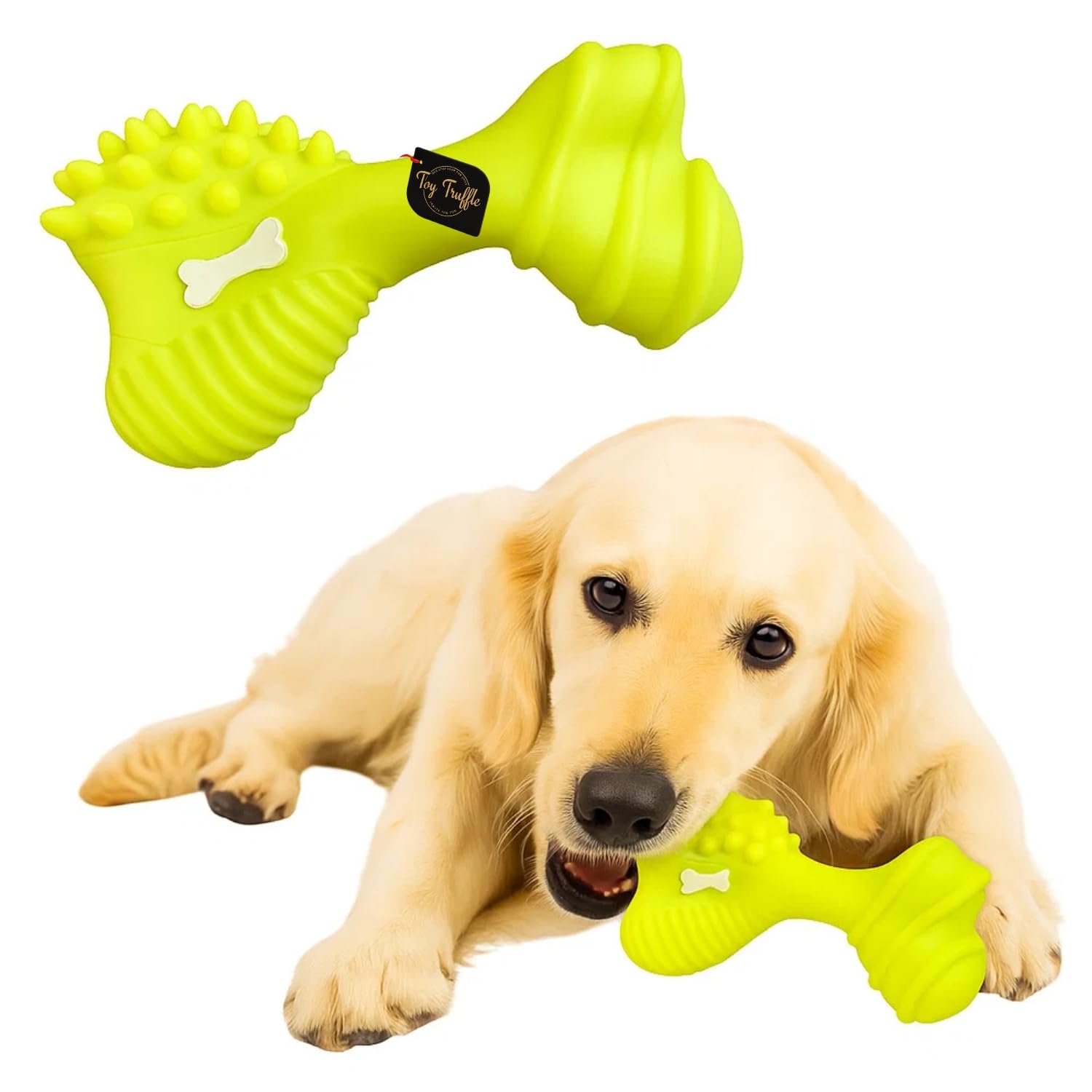 Toy Truffle Bone Shaped Squeaky Chew Toy for Dogs | Durable NonToxic Rubber with Ridges & Soft Spikes | Fun Interactive Dog Toy