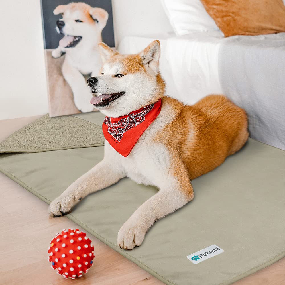 Petami Waterproof Dog Blanket For Medium Large Dogs, Pee Proof Pet Blanket For Bed Couch, Reversible Water Proof Blanket For Puppy Indoor Cat, Soft Dog Pee Crate Cover Washable, 60X80 Taupe