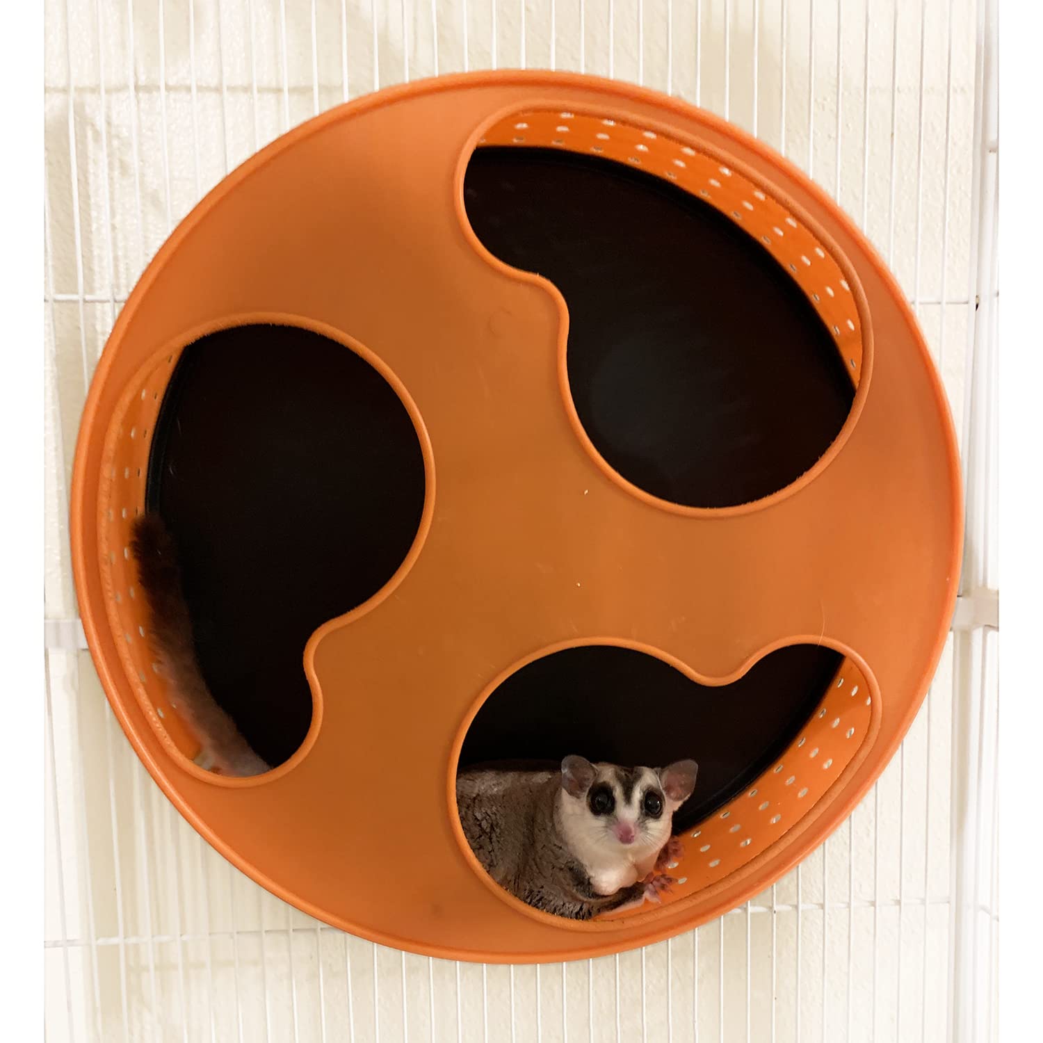 Silent Runner 12' With Autoclean | Sugar Glider Wheel