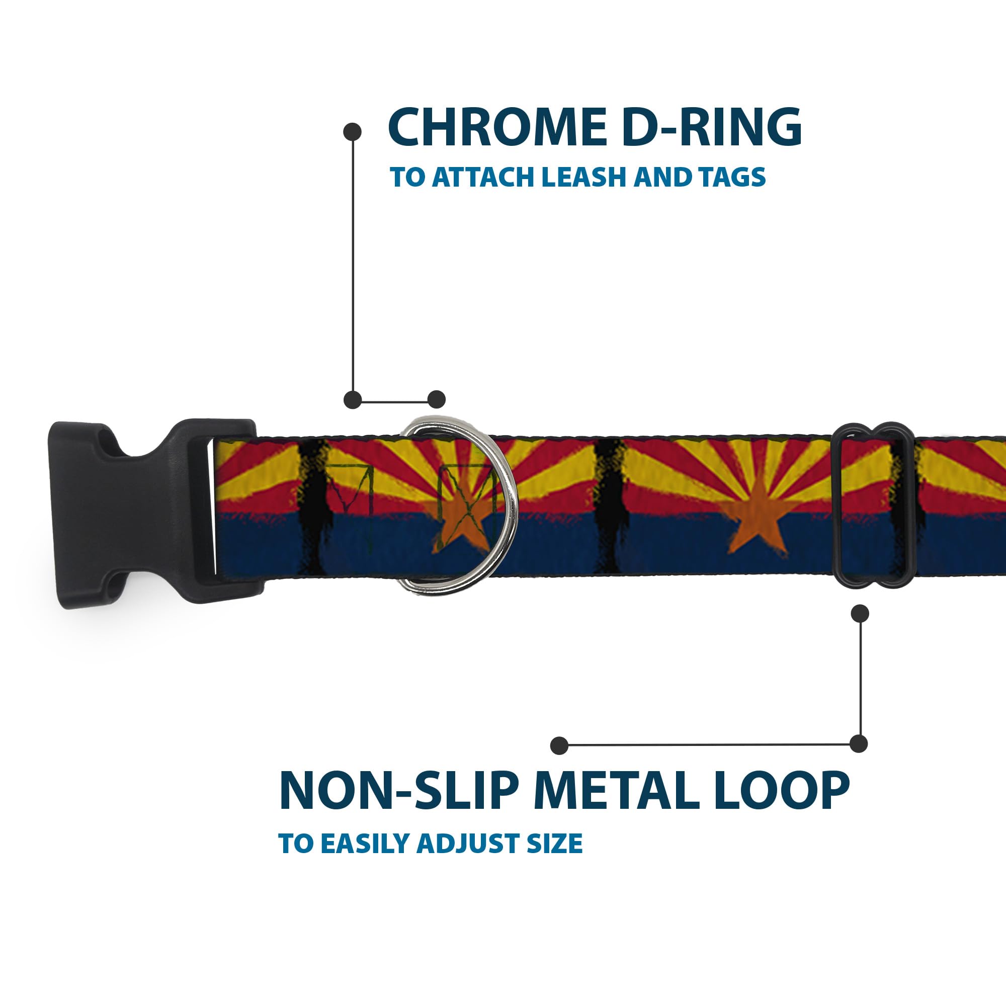 Buckle-Down Pc-W30156-L Arizona Flag Distressed Painting Plastic Clip Collar, Large/15-26'