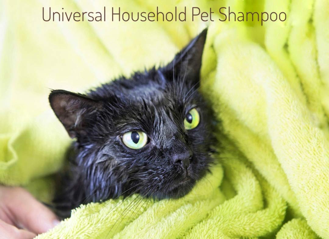 Minksheen Pet Shampoo - 128 oz Dog Shampoo for Clean, Shiny Fur