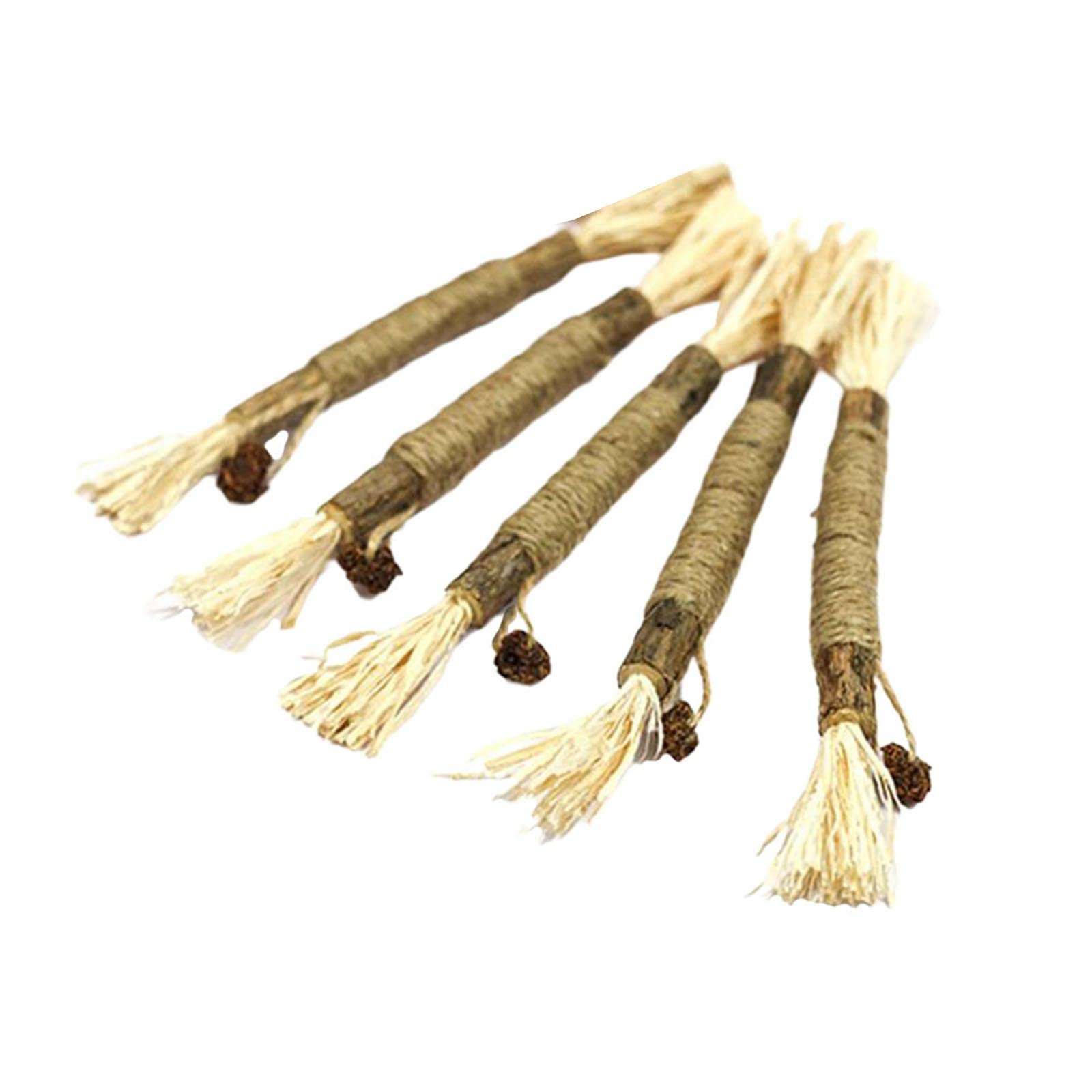Ecomistiq 5Pcs Cat Chew Sticks Catnip Toy Dental Molar Teeth Cleaning Fruit Ball| Toys| Supplies |Pet