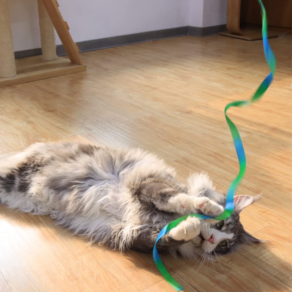 Lasocuhoo Interactive Cat Rainbow Wand Toys, Interactive Cat Teaser Wand String, Colorful Ribbon Charmer For Most Cats And Kitte