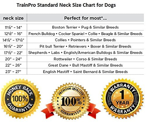 Trainpro Replacement ¾” Collar Strap Bands With Double Buckle Loop For All Brands Of Pet Shock Bark E Collars And Fences.