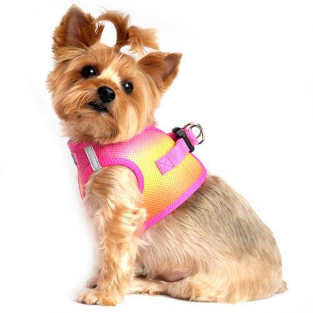 Doggie Design Dog Harness - No Choke Dog Harness, Dog Vest, Mesh Polyester, Pet Harness, Simple Step in and Go Design, Harness for Dog - Raspberry Pink and Orange - XXS