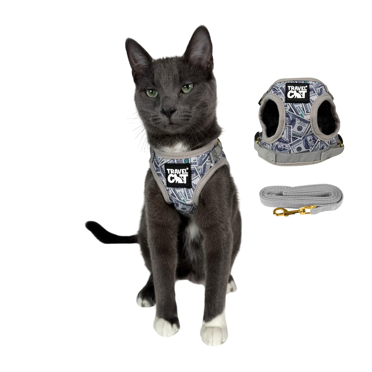 Travel Cat & Stray Cat Harness And Leash Set - Adjustable Fit Mesh Cat Harness And Reflective Strap - Comfort Escape Proof Harness For Cats, Kitten For Outdoor Walking, Hiking (Extra Small, Cashcat)