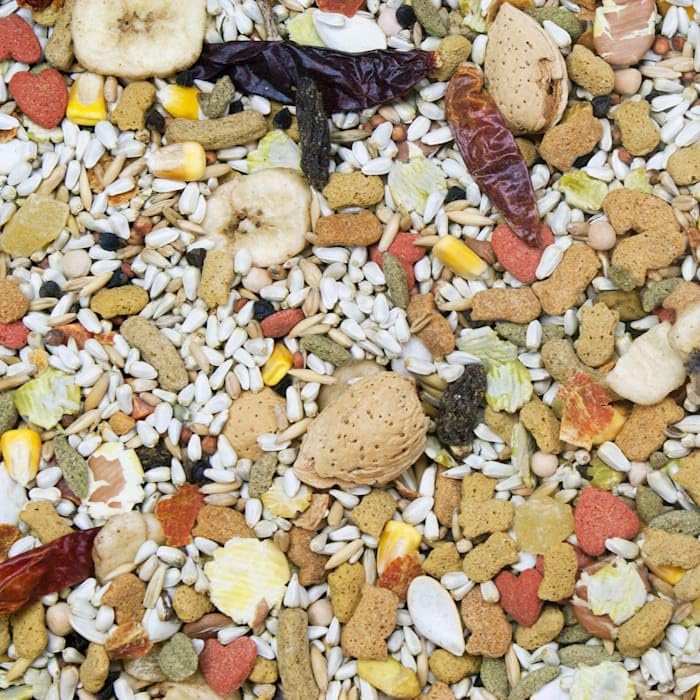 Higgins 466146 Bird Food Formula, One Size