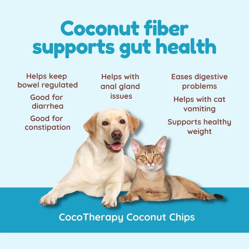 CocoTherapy Coconut Chips - 6 oz (3 Pack) - Healthy Snack, All-Natural, Gluten-Free