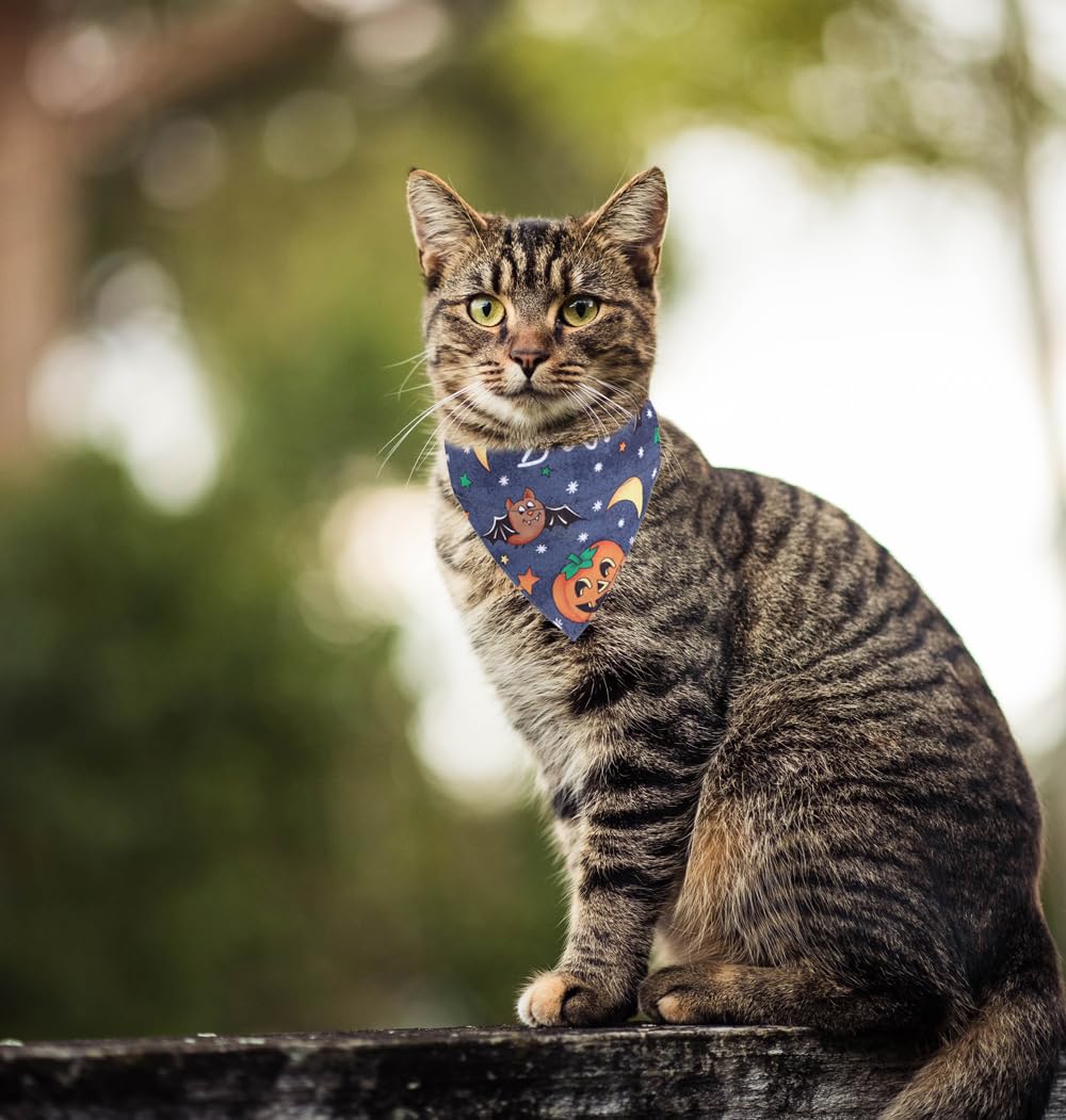 Halloween Cat Collars Breakaway With Bandana Bell Pet Kitten Adjustable For Small Dog Puppies Girl Boy