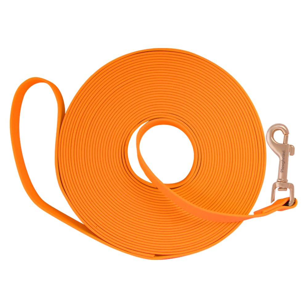 Dog Leash Waterproof Longline, Long Leash For Dogs Outdoor Training, Beach, Yard, Play, Camping, Swimming