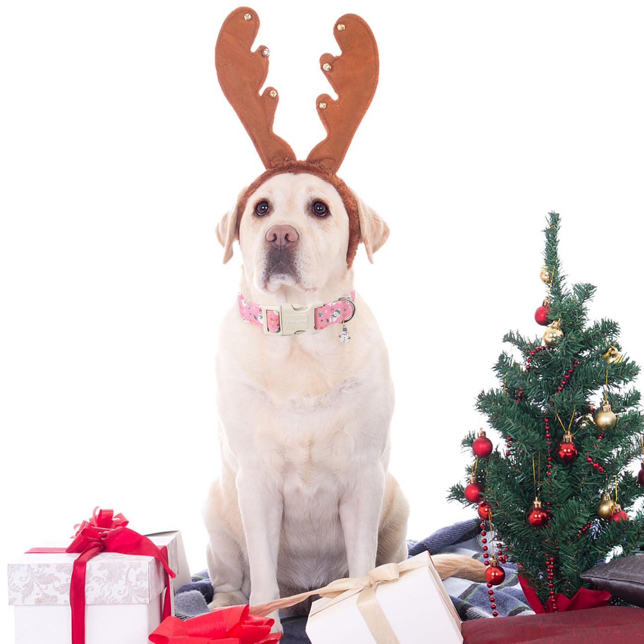 Dogwong Snowman Dog Collar- Cute Designer Christmas Blue Dog Collars Adjustable Deer Dog Collar For Small Medium Large Dogs M